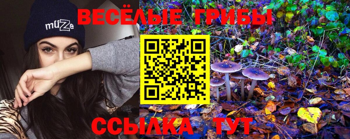 Галлюциногенные грибы мицелий Россия