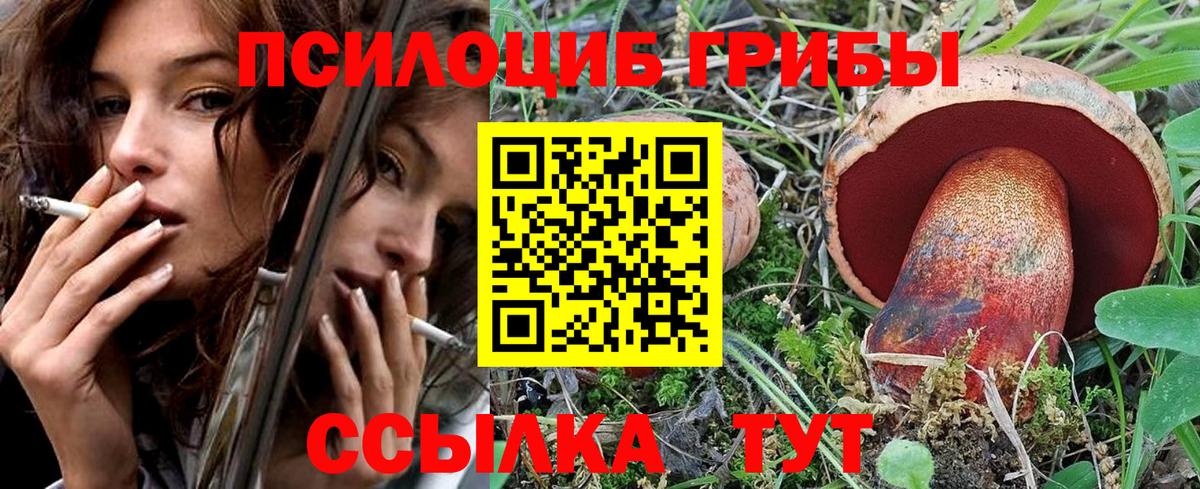 Галлюциногенные грибы MAGIC MUSHROOMS  Вход с VPN  Россия 